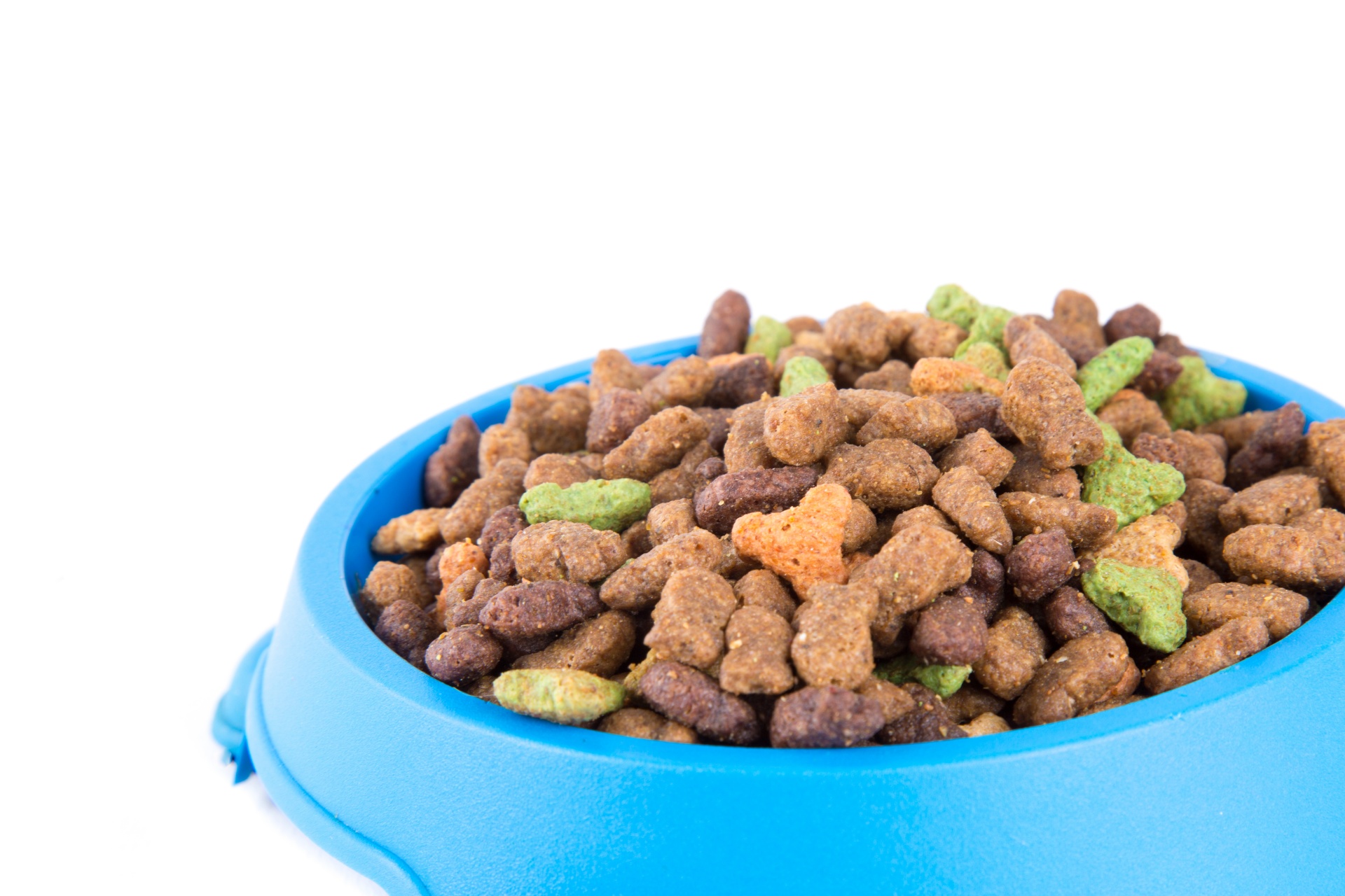 wsava recommended cat food